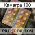 Камагра 100 new10